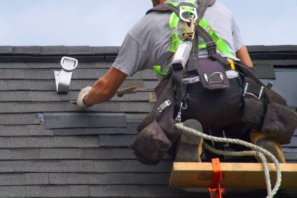 Best Gutter Installation and Roofing  in Ladysmith, WI