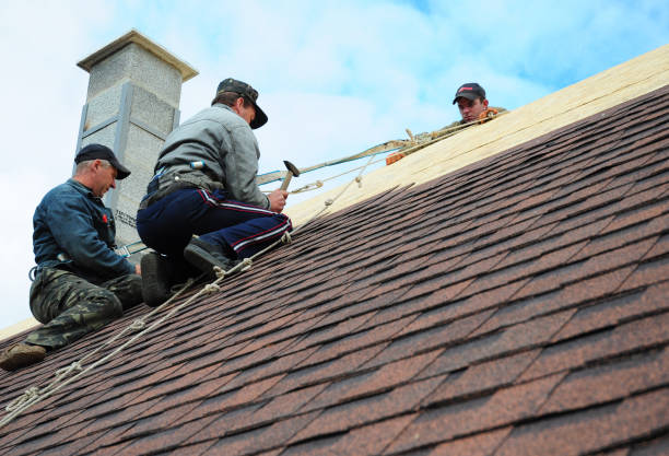 Best Shingle Roofing Installation  in Ladysmith, WI